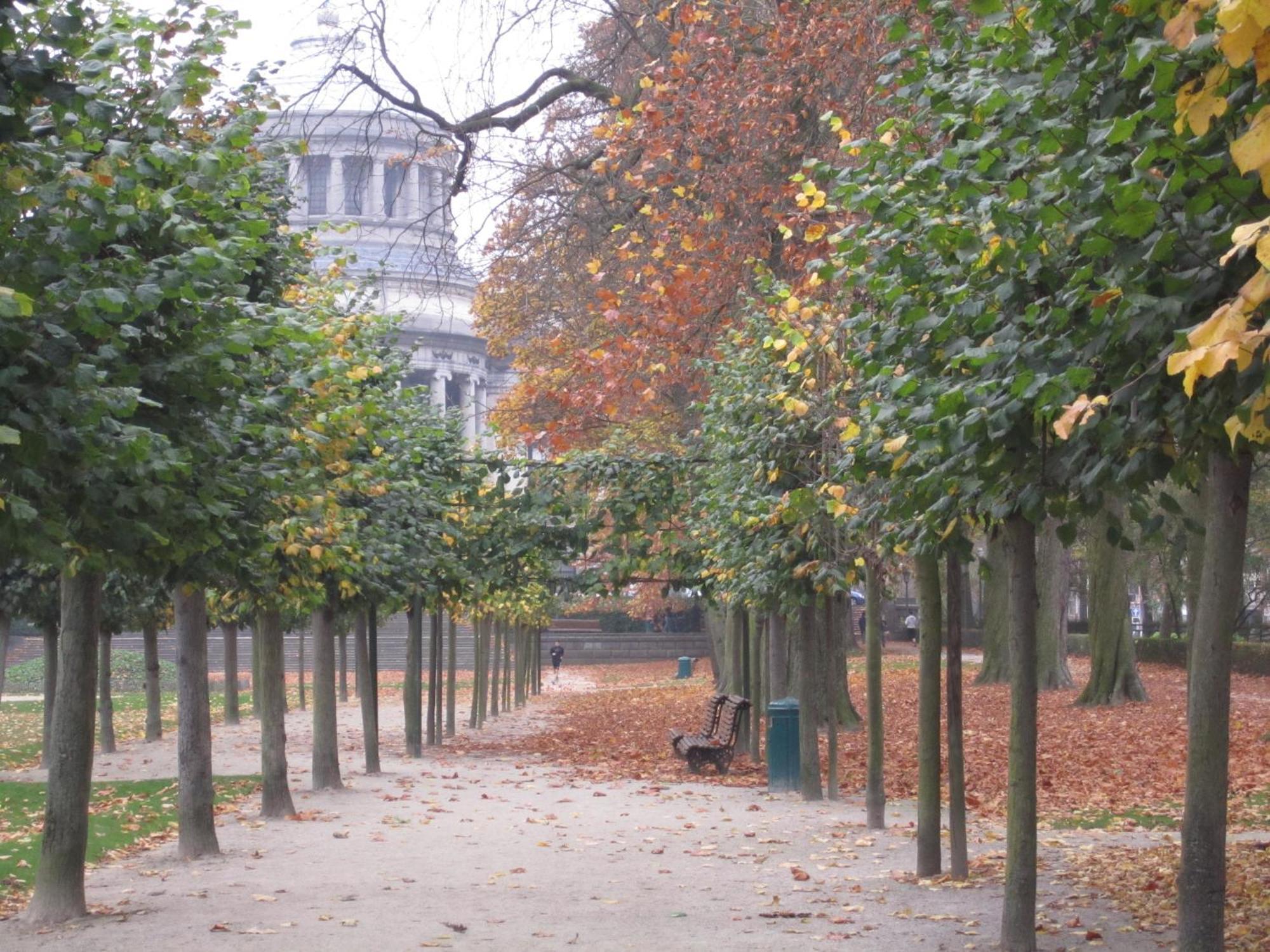 B&B A Cote Du Cinquantenaire Etterbeek Buitenkant foto